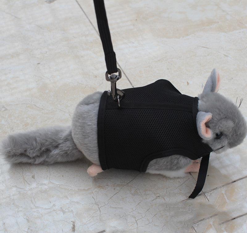 Pet Pawsome Nylon Leash: The Perfect Traction Belt For Small Fur Babies!