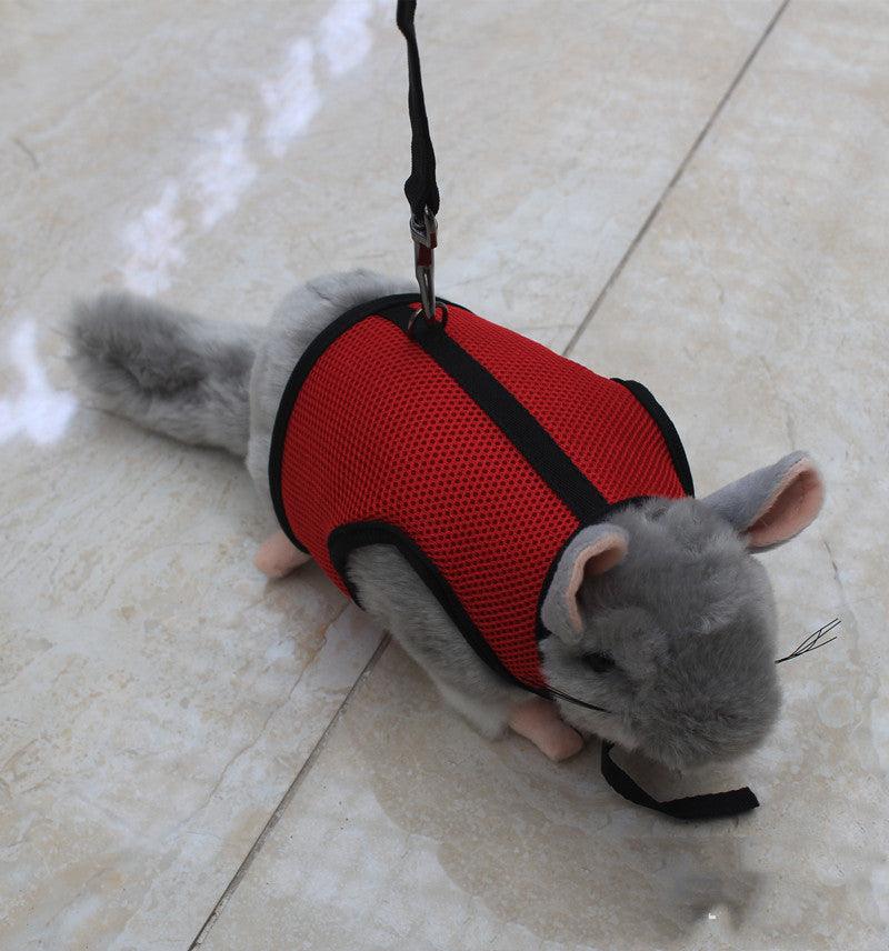 Pet Pawsome Nylon Leash: The Perfect Traction Belt For Small Fur Babies!