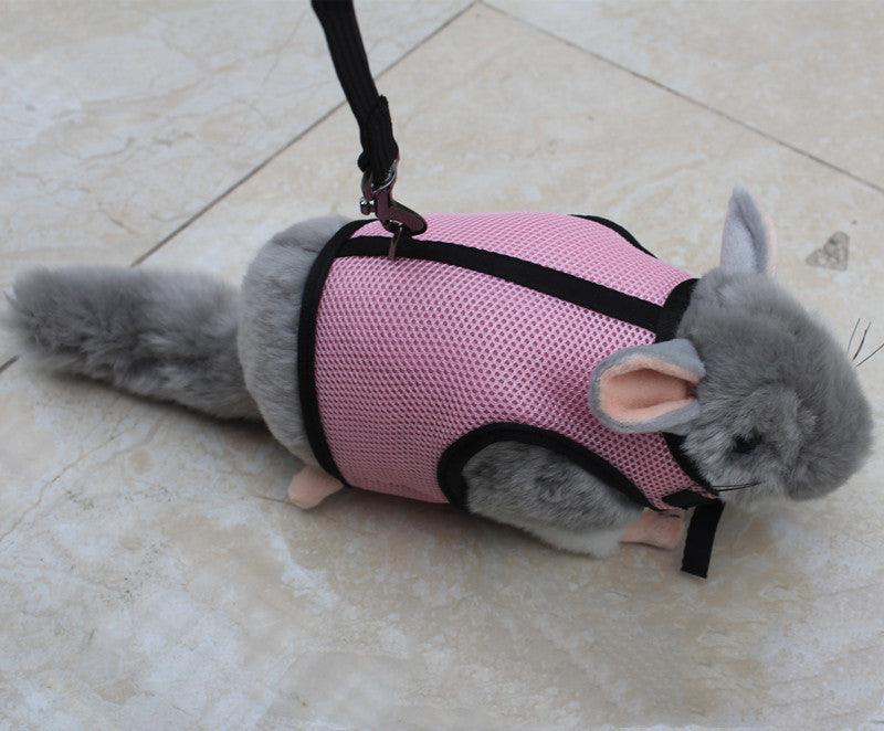Pet Pawsome Nylon Leash: The Perfect Traction Belt For Small Fur Babies!