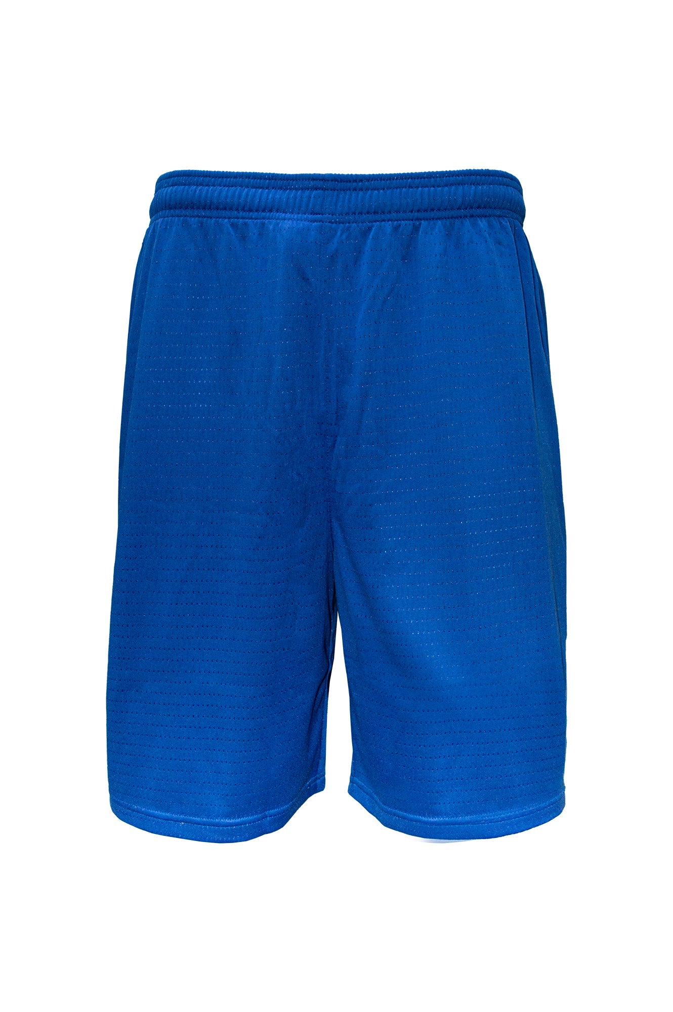 Swish Mens Basketball Shorts - Royal