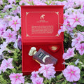 Marien Limited Edition Women Luxury Eau de Parfum | Fresh & Floral - 80ml