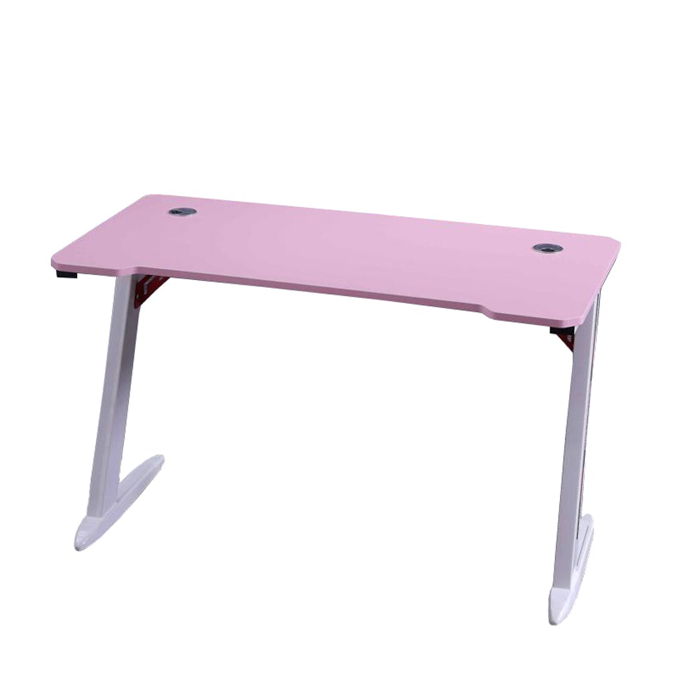 NNEDSZ 120cm RGB Gaming Desk Desktop PC Computer Desks Desktop Racing Table Office Laptop Home AU