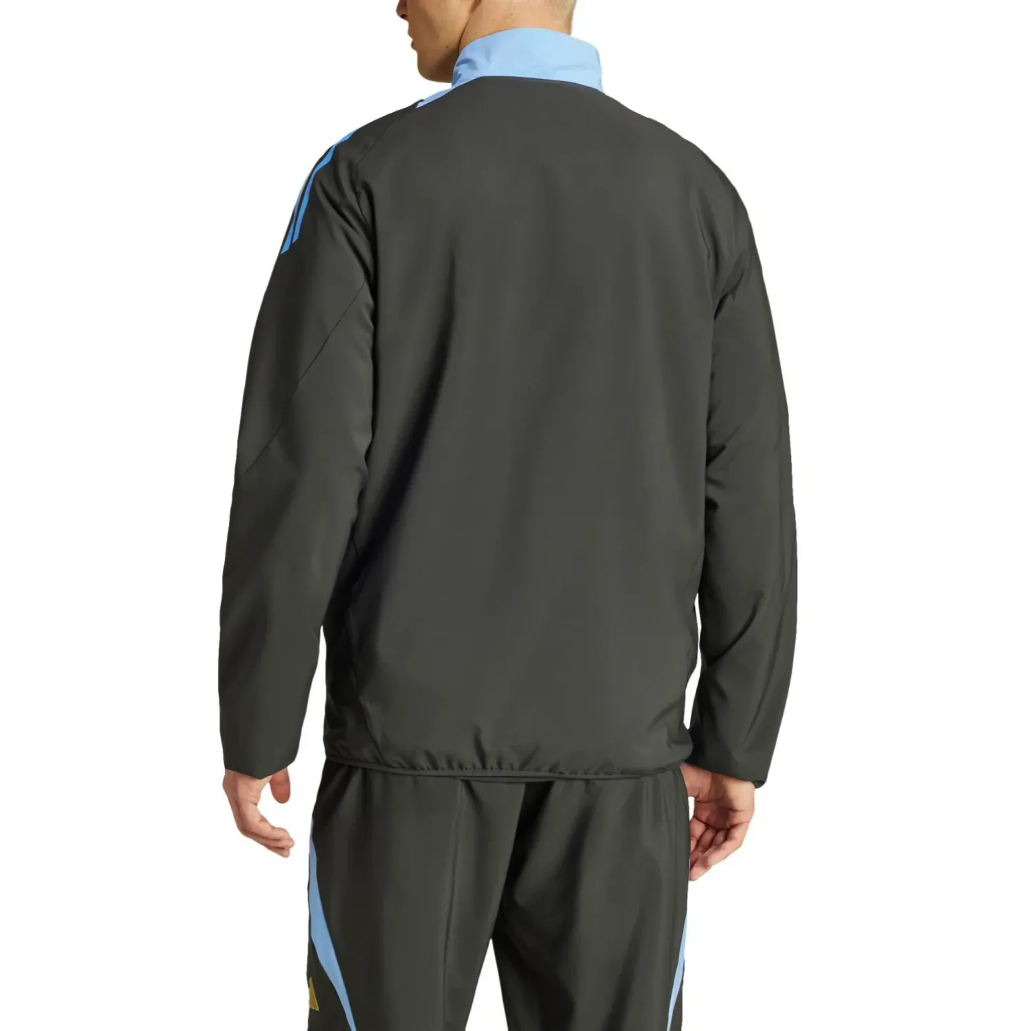 Argentina training presentation Soccer tracksuit 2024/25 - Adidas