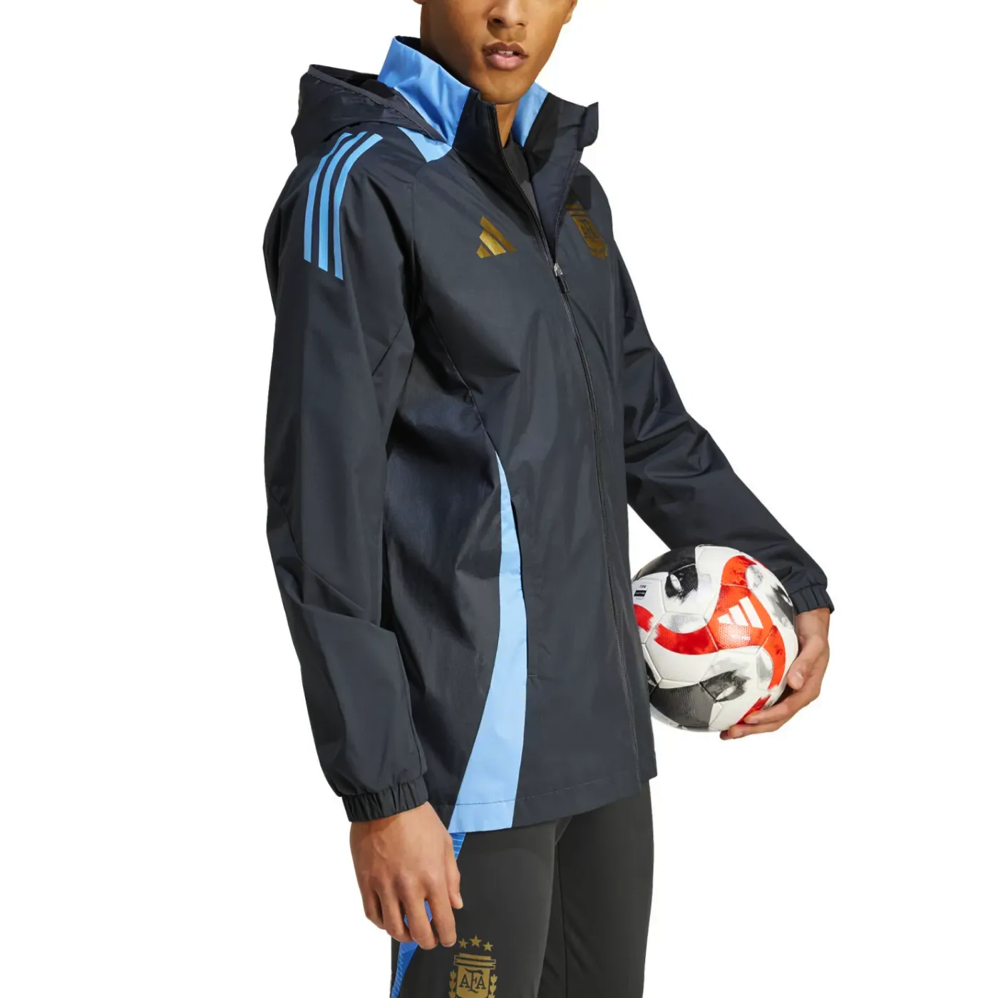 Argentina soccer training rain jacket 2024/25 - Adidas