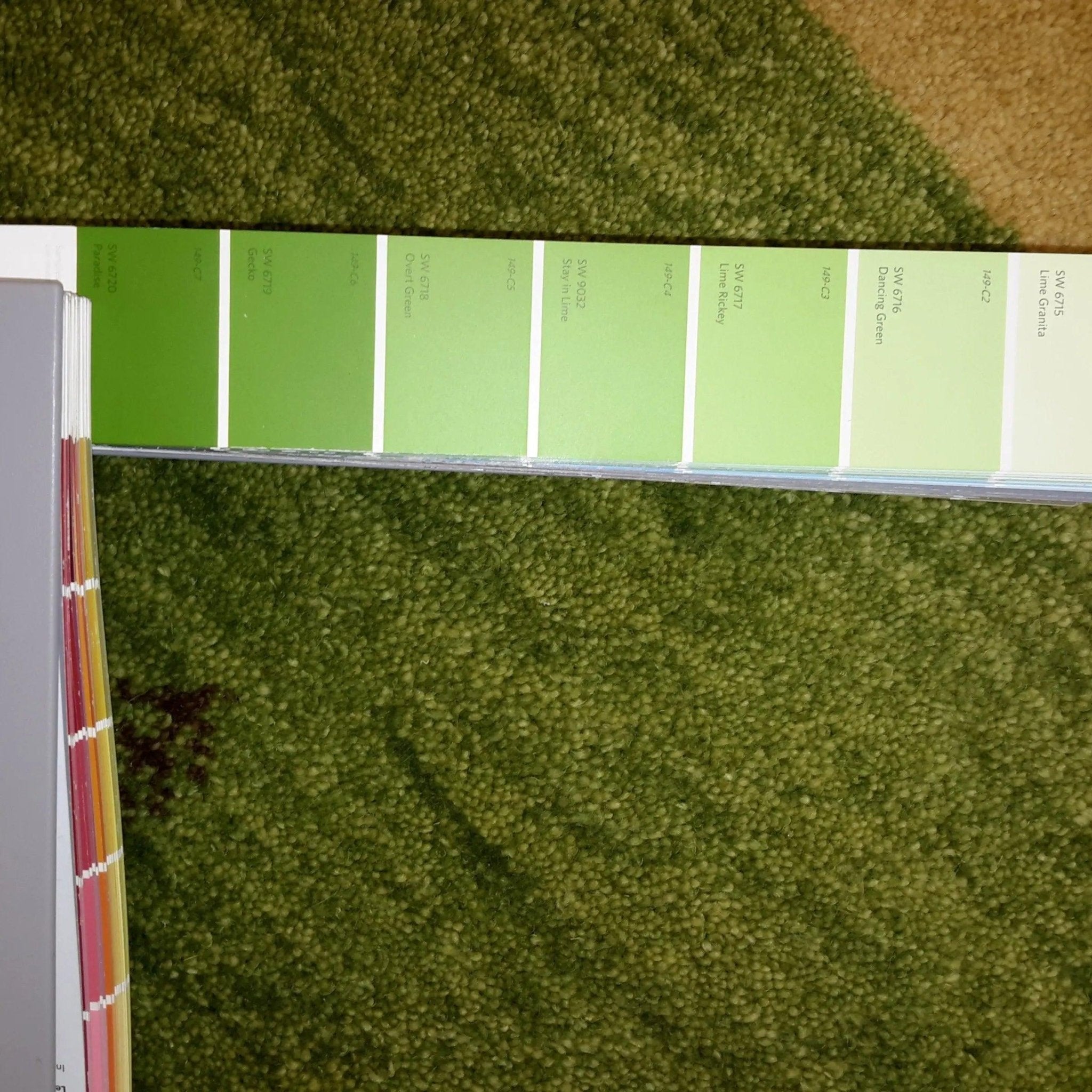 Canvello Hand Made Modern All Over Indo Gabbeh Rug - 3'0'' X 5'5''