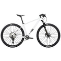 M5 (Boost) - Twitter Carbon Road Bike